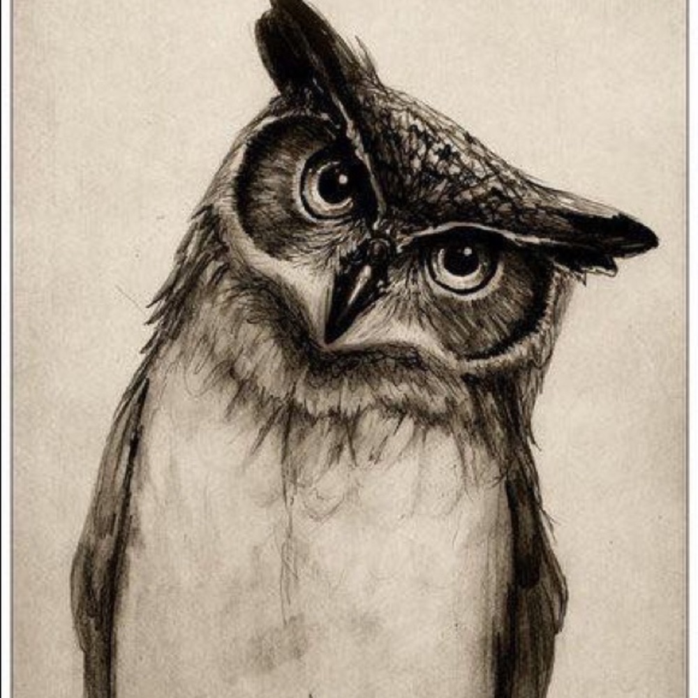 Meet your Posher, Marie